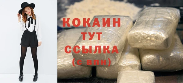 гашик Арсеньев