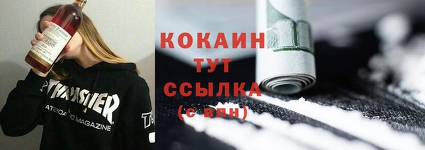 гашик Арсеньев