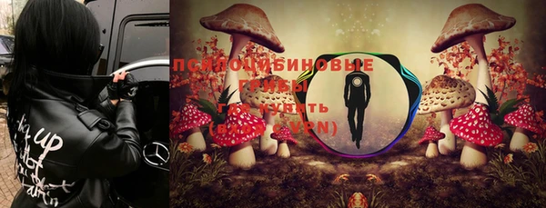 каннабис Аркадак